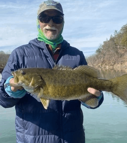 Smallmouth Bass Fishing in Virginia